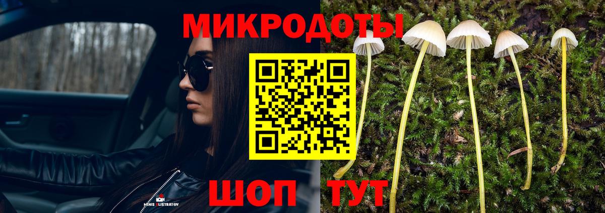 Псилоцибиновые грибы прущие грибы  Псилоцибиновые грибы Cubensis  Вход с VPN  Иваново 